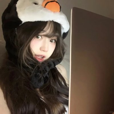 极地先锋